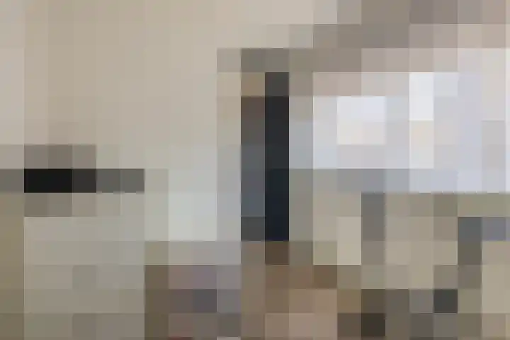 Maaskade 52 Venlo thumbnail 23