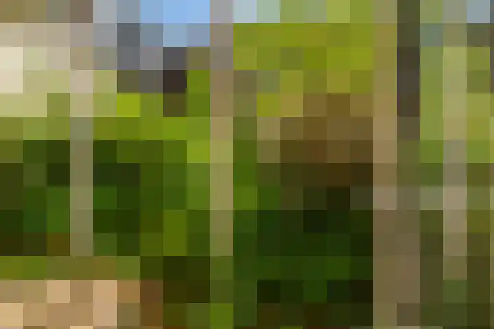 Maaskade 79 02 Rotterdam thumbnail 16
