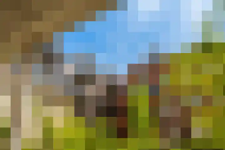 Maaskade 79 02 Rotterdam thumbnail 17