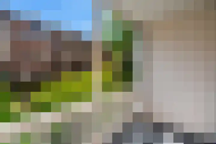 Maaskade 79 02 Rotterdam thumbnail 27