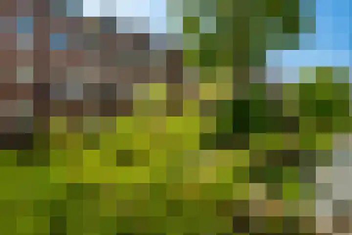 Maaskade 79 02 Rotterdam thumbnail 32