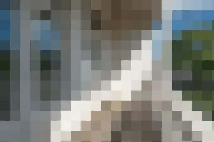 Maaskade 86 A 01 Rotterdam thumbnail 10