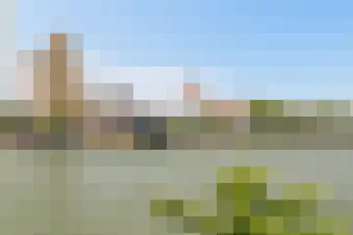 Maaskade 97 B Rotterdam thumbnail 15