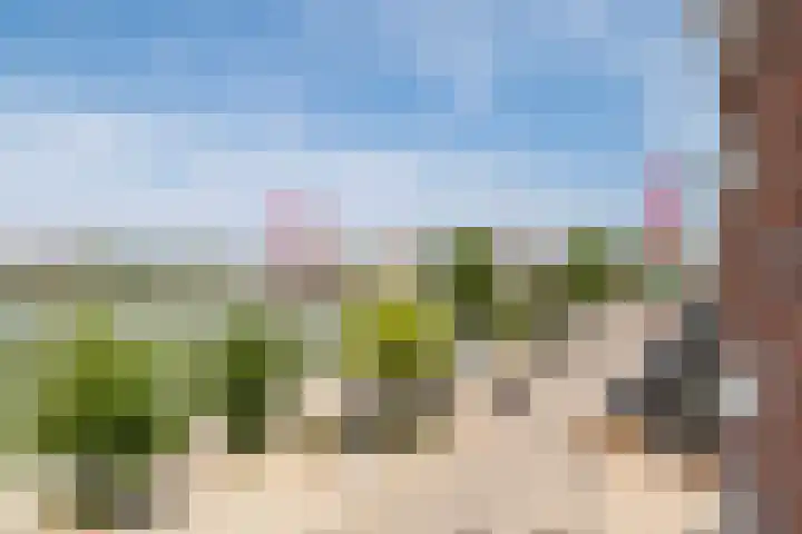 Maaskade 97 B Rotterdam thumbnail 16