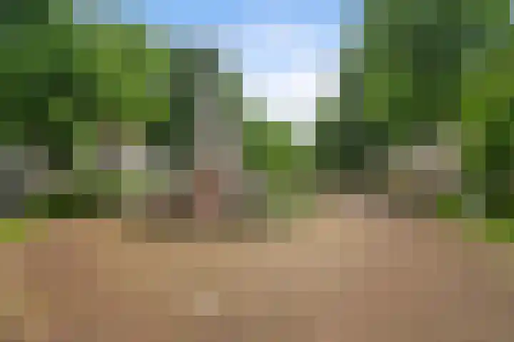 Maaskade 97 B Rotterdam thumbnail 22