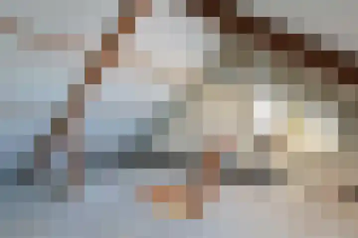 Maaslaan 83 Geleen thumbnail 20