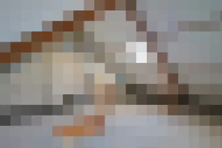 Maaslaan 83 Geleen thumbnail 21