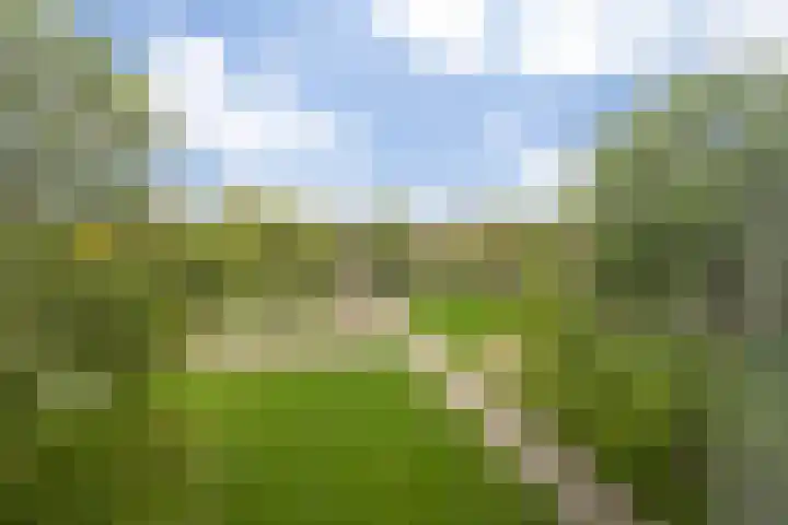 Maassingel 100 's-Hertogenbosch thumbnail 22