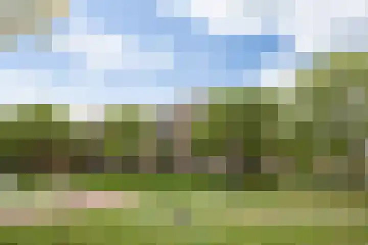 Maassingel 100 's-Hertogenbosch thumbnail 23