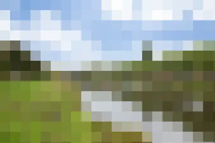Maassingel 100 's-Hertogenbosch thumbnail 24