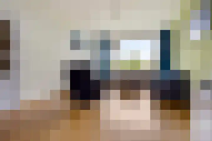 Maassingel 100 's-Hertogenbosch thumbnail 4
