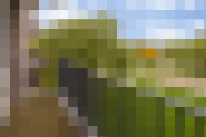 Maassingel 100 's-Hertogenbosch thumbnail 6