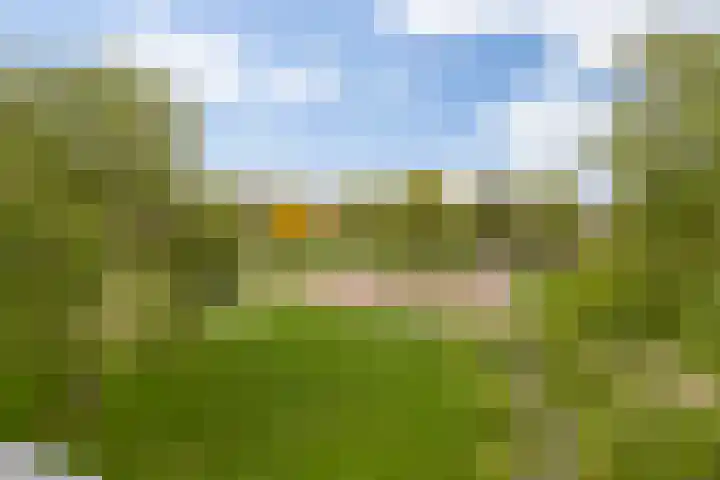 Maassingel 100 's-Hertogenbosch thumbnail 8