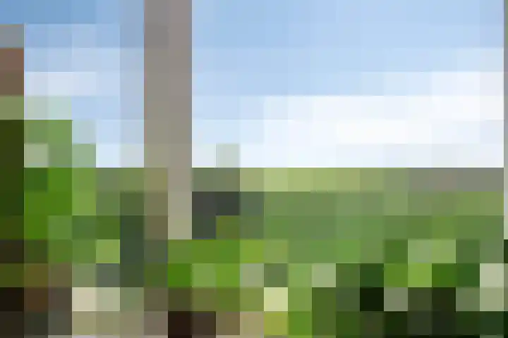 Maassingel 118 IJsselstein thumbnail 39