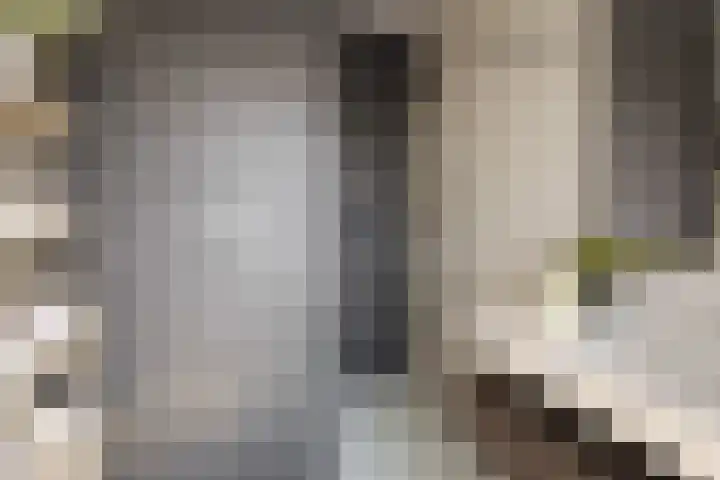 Maassingel 140 's-Hertogenbosch thumbnail 16
