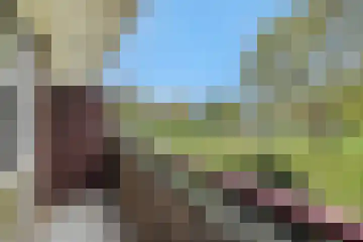 Maassingel 140 's-Hertogenbosch thumbnail 5