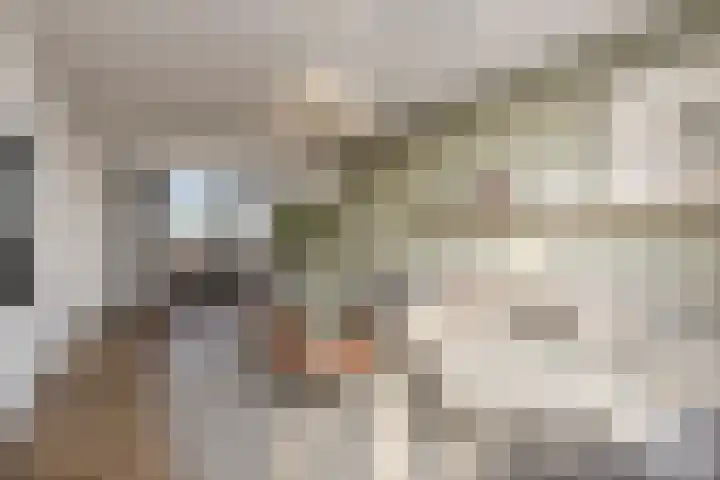Maassingel 140 's-Hertogenbosch thumbnail 8