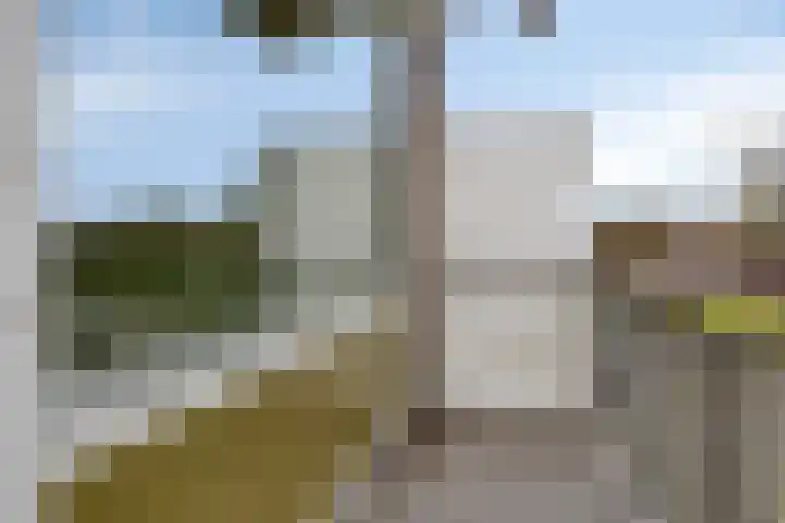 Maassingel 148 's-Hertogenbosch thumbnail 10