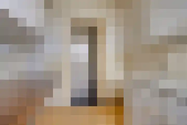 Maassingel 148 's-Hertogenbosch thumbnail 12