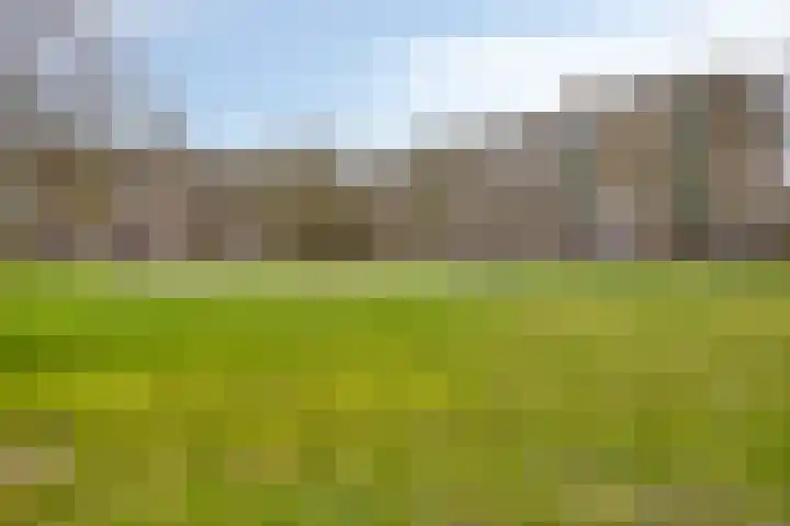 Maassingel 148 's-Hertogenbosch thumbnail 17