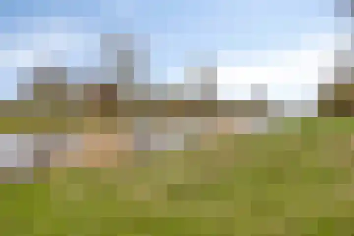 Maassingel 148 's-Hertogenbosch thumbnail 18
