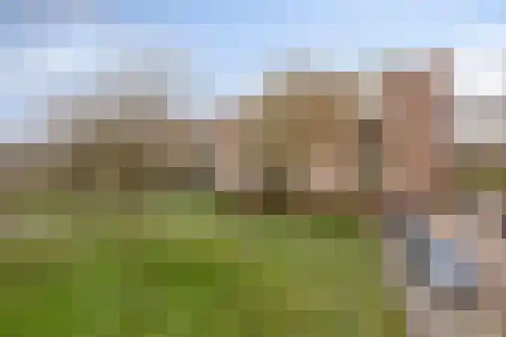 Maassingel 148 's-Hertogenbosch thumbnail 20