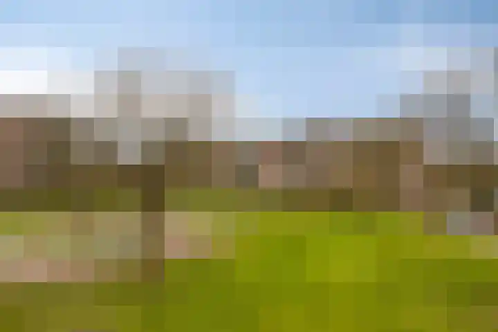 Maassingel 148 's-Hertogenbosch thumbnail 21