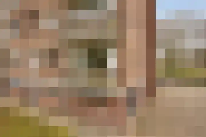 Maassingel 148 's-Hertogenbosch thumbnail 22
