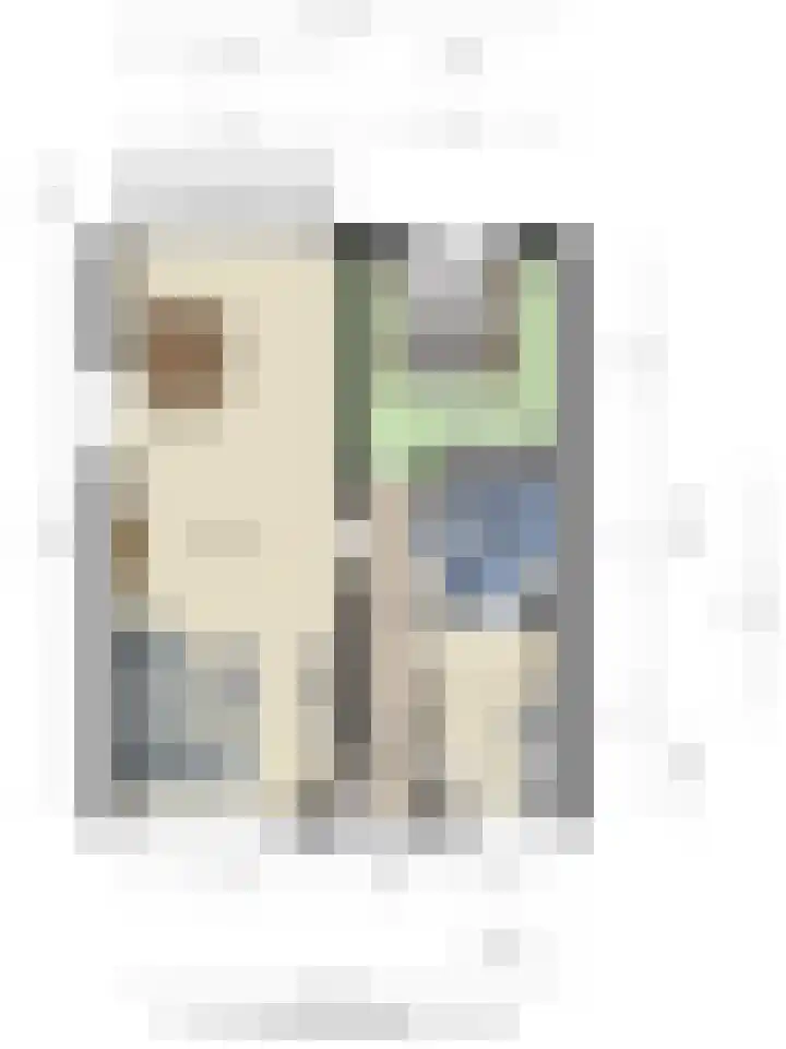 Maassingel 148 's-Hertogenbosch thumbnail 23