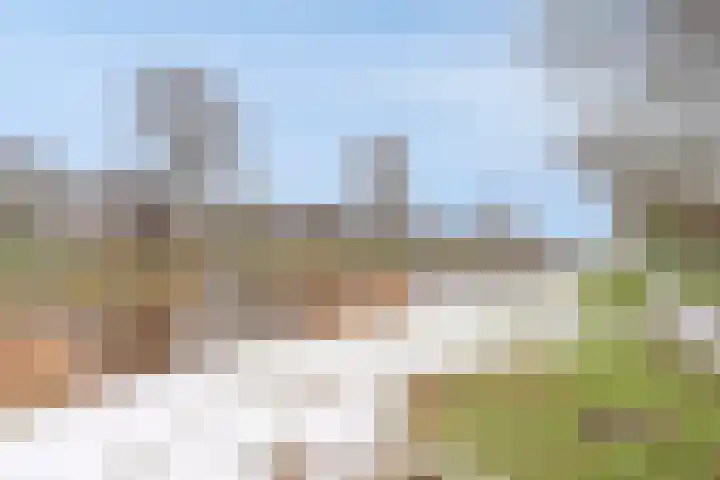 Maassingel 182 's-Hertogenbosch thumbnail 20