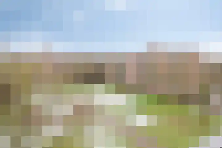 Maassingel 182 's-Hertogenbosch thumbnail 4