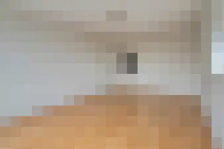 Maassingel 182 's-Hertogenbosch thumbnail 6