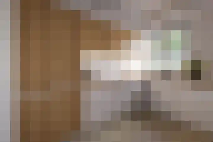 Maassingel 304 's-Hertogenbosch thumbnail 10
