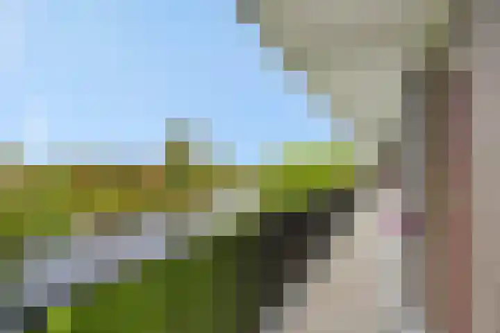 Maassingel 304 's-Hertogenbosch thumbnail 20