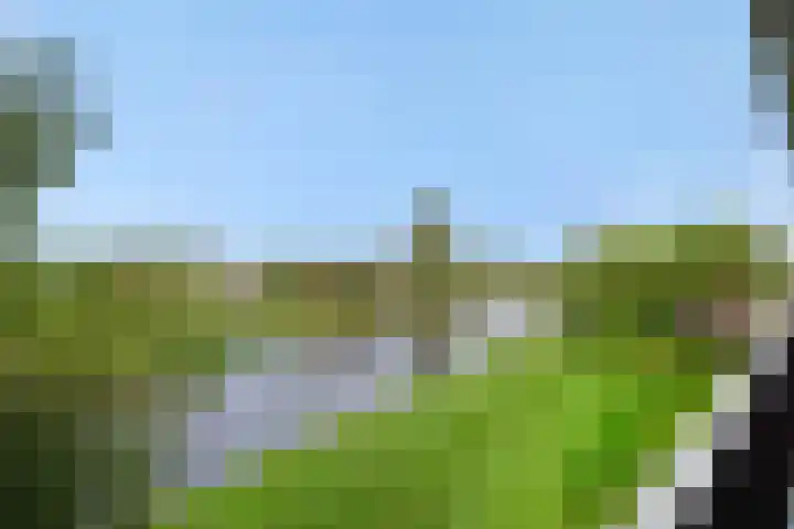 Maassingel 304 's-Hertogenbosch thumbnail 21