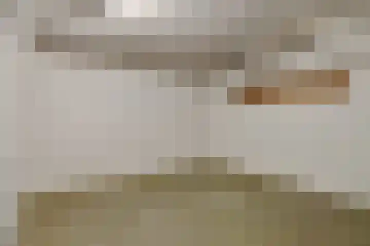 Maassingel 304 's-Hertogenbosch thumbnail 24