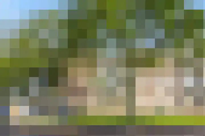 Maassingel 304 's-Hertogenbosch thumbnail 27