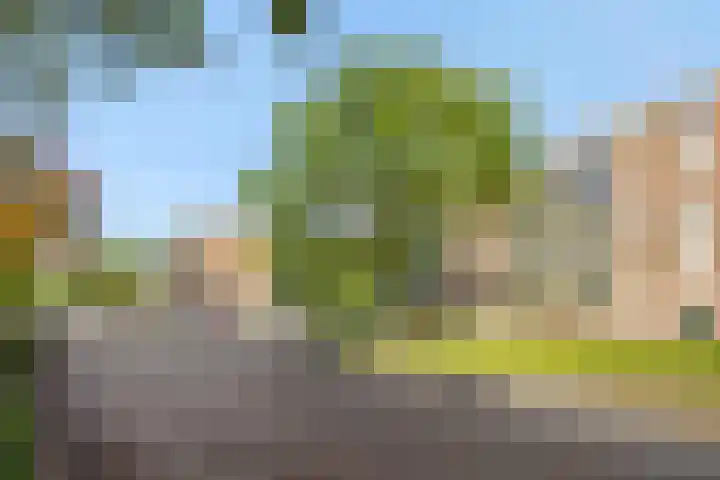 Maassingel 304 's-Hertogenbosch thumbnail 28