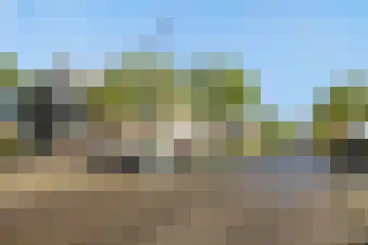 Maassingel 304 's-Hertogenbosch thumbnail 30