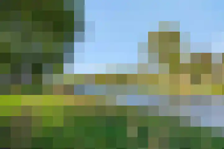 Maassingel 304 's-Hertogenbosch thumbnail 31