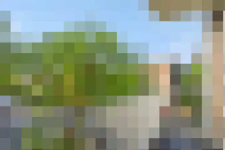 Maassingel 304 's-Hertogenbosch thumbnail 4