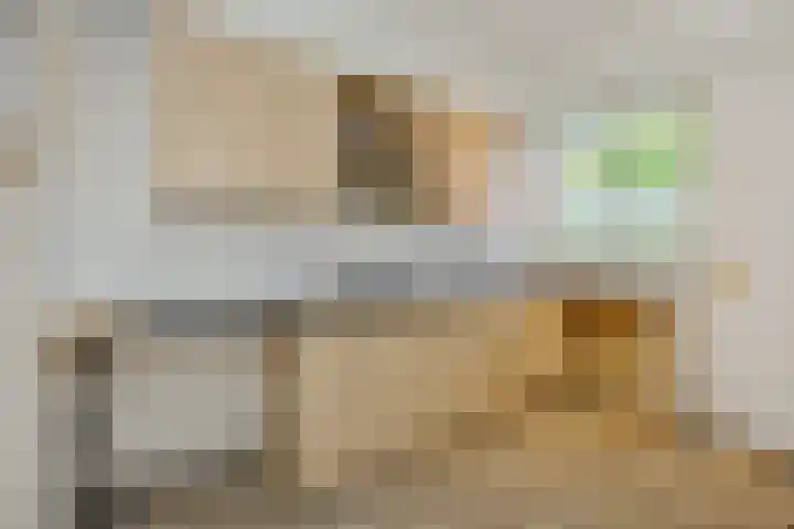 Maassingel 304 's-Hertogenbosch thumbnail 9