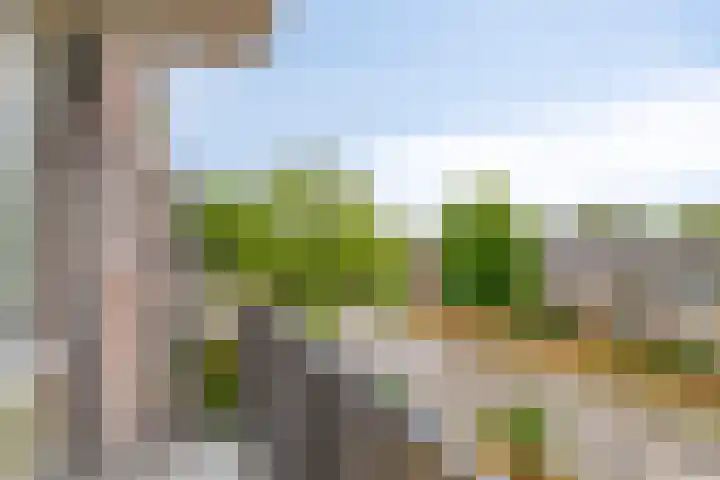 Maassingel 310 's-Hertogenbosch thumbnail 23