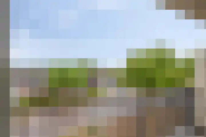 Maassingel 310 's-Hertogenbosch thumbnail 24