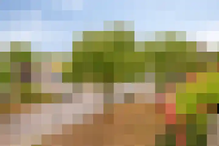 Maassingel 310 's-Hertogenbosch thumbnail 25