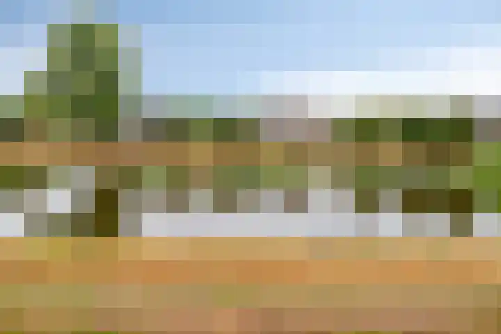 Maassingel 310 's-Hertogenbosch thumbnail 26