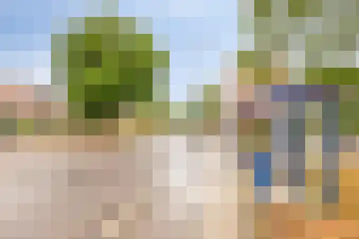 Maassingel 310 's-Hertogenbosch thumbnail 29