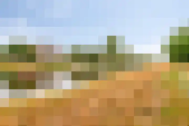 Maassingel 310 's-Hertogenbosch thumbnail 30