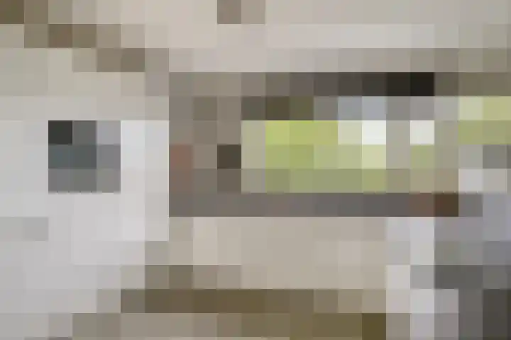 Maassingel 384 's-Hertogenbosch thumbnail 11