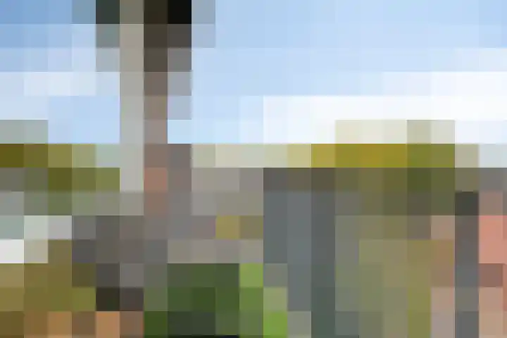 Maassingel 384 's-Hertogenbosch thumbnail 19